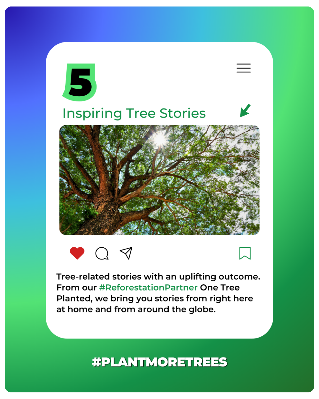 5 Inspiring Tree News Stories from 2024, picture of a tree's branches with the sun shining through with a royal blue to emerald green gradient in the background